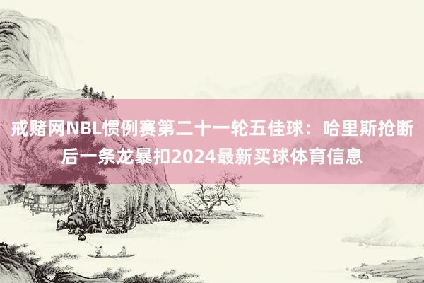 戒赌网NBL惯例赛第二十一轮五佳球：哈里斯抢断后一条龙暴扣2024最新买球体育信息