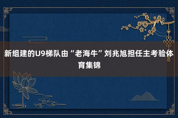 新组建的U9梯队由“老海牛”刘兆旭担任主考验体育集锦