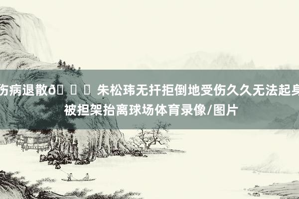 伤病退散🙏朱松玮无扞拒倒地受伤久久无法起身 被担架抬离球场体育录像/图片