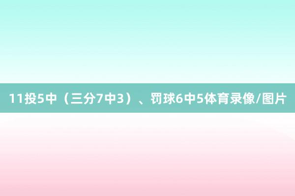 11投5中（三分7中3）、罚球6中5体育录像/图片