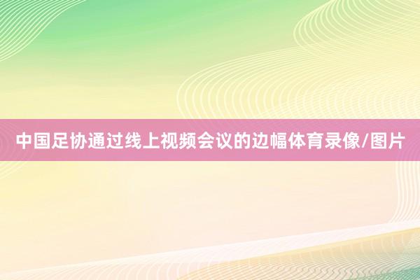 中国足协通过线上视频会议的边幅体育录像/图片